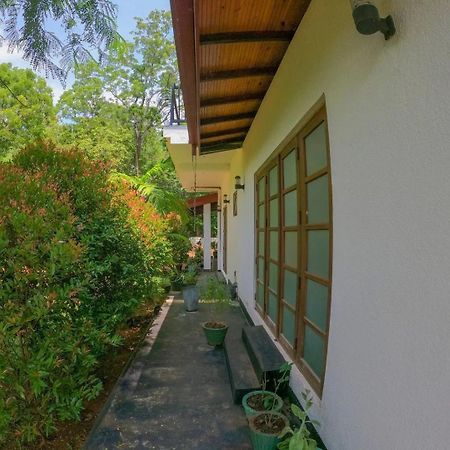 The Sigiriya White House Exterior foto